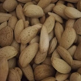 بادام مامایی با کیفیت + خرید به صرفه